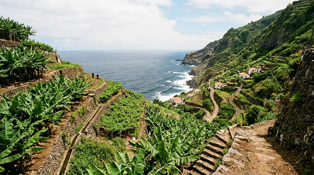 Autohuur op Madeira vergelijken – SUV of 4x4: vermogen en comfort